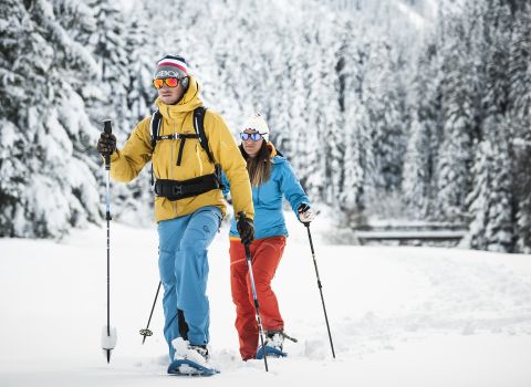 Il Tirolo offre tantissime opzioni per le vacanze invernali, la più bella delle quali si trova nella valle dello Stubai. Esplorate la valle in inverno con un'escursione con le ciaspole.