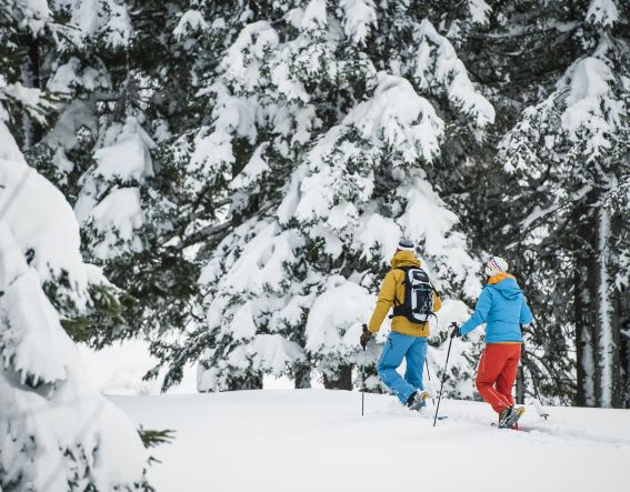 Gemeinsam eine Schneeschuhtour in traumhafter Winterlandschaft genießen? Im Stubaital kommt Ihr auf jeden Fall auf Eure Kosten :)