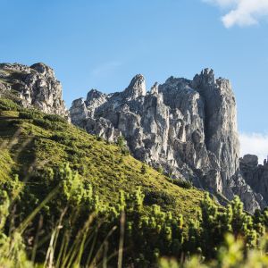 Der Elfer ist der Hausberg von Neustift im Stubaital und sollte unbedingt auf deine Bucketlist. In Deinem Urlaub im Explorer Hotel Stubaital liegt die Wanderung quasi vor der Haustür.