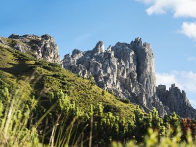 Der Elfer ist der Hausberg von Neustift im Stubaital und sollte unbedingt auf deine Bucketlist. In Deinem Urlaub im Explorer Hotel Stubaital liegt die Wanderung quasi vor der Haustür.