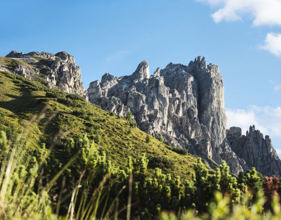 Der Elfer gehört zu den Seven Summits Stubaital und ist der Hausberg von Neustift