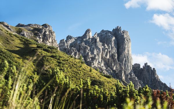 Der Elfer ist der Hausberg von Neustift im Stubaital und sollte unbedingt auf deine Bucketlist. In Deinem Urlaub im Explorer Hotel Stubaital liegt die Wanderung quasi vor der Haustür.