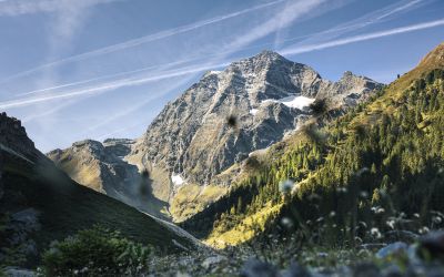 Der imposante Gipfel Habicht gehört zu den Seven Summits Stubai und wird auch der Mächtige genannt