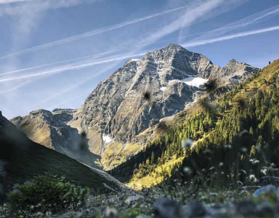 Der imposante Gipfel Habicht gehört zu den Seven Summits Stubai und wird auch der Mächtige genannt