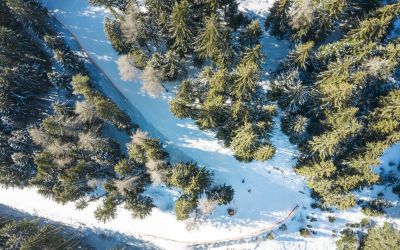 Eine Panorama Drohnenaufnahme auf dem Schlick2000 in die umliegenden Wälder