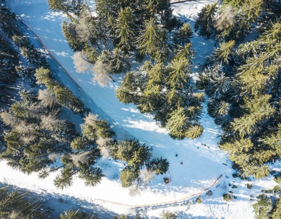 Eine Panorama Drohnenaufnahme auf dem Schlick2000 in die umliegenden Wälder