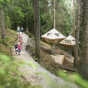 Der Baumhausweg inmitten der Natur in einem Waldgebiet im Stubaital ist ein beliebtes Ausflugsziel für die ganze Familie