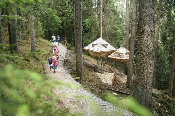 Der Baumhausweg inmitten der Natur in einem Waldgebiet im Stubaital ist ein beliebtes Ausflugsziel für die ganze Familie