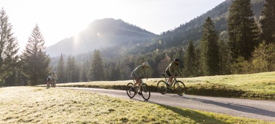 Die schönsten Gravel Bike Touren in der unmittelbaren Umgebung vom Explorer Hotel Neuschwanstein