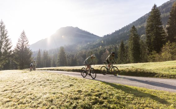 Die schönsten Gravel Bike Touren in der unmittelbaren Umgebung vom Explorer Hotel Neuschwanstein