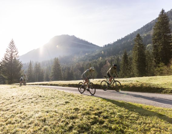 Die schönsten Gravel Bike Touren in der unmittelbaren Umgebung vom Explorer Hotel Neuschwanstein