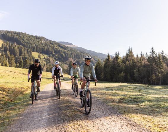 Az Allgäui-Alpok számtalan lehetőséget kínálnak egy kavicsos kerékpártúra megtervezésére. Együtt felfedezhetitek a környéket, és kilométerről kilométerre élvezhetitek a tájat.