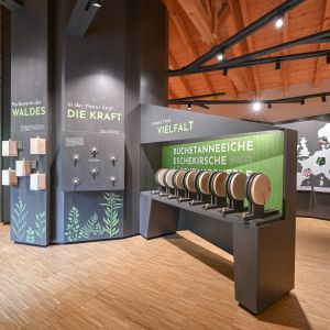 Das Walderlebniszentrum in Füssen hat eine große Ausstellung mit vielen wissenswerten Informationen über die Natur und Tierwelt