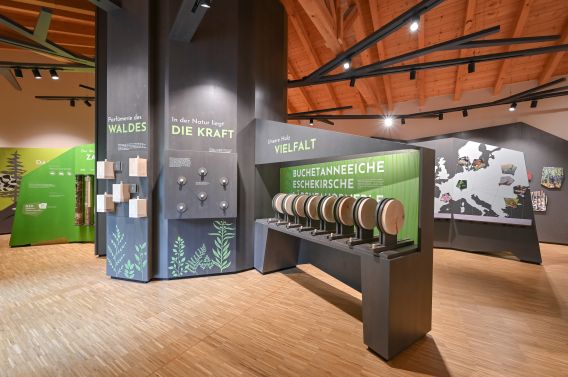 Das Walderlebniszentrum in Füssen hat eine große Ausstellung mit vielen wissenswerten Informationen über die Natur und Tierwelt