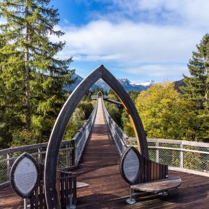 Der Baumkronenweg im Walderlebniszentrum in Füssen ist ein Erlebnis für die Sinne mit der ganzen Familie