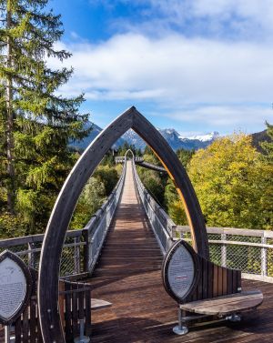 Der Baumkronenweg im Walderlebniszentrum in Füssen ist ein Erlebnis für die Sinne mit der ganzen Familie