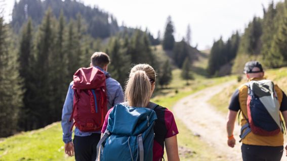 Wanderungen mit Aussicht zwischen Seen, Hügeln und Berge. Rund um Nesselwang gibt es vielseitige Wanderungen mit traumhaften Bergpanorama.