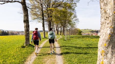 Bist du auf der Suche nach den besten Wanderungen in Nesselwang? Dann ist das Explorer Hotel der perfekte Startpunkt!