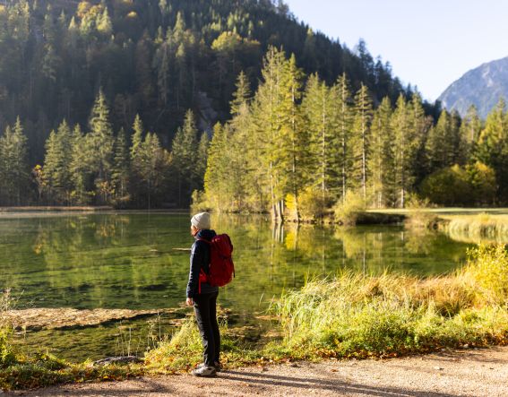 Ein traumhafter Herbsttag am Schiederweiher. Bei einer gemütlichen Wanderung kannst Du den Weiher innerhalb 1,5 Stunden umrunden