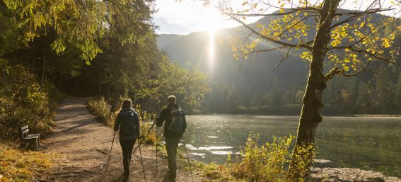 Der Schiederweiher ist durch die Lage ein absolutes sehenswertes Naturhighlight in Hinterstoder. 
Der Weg ist für viele einfach und entspannt machbar und sogar größtenteils barrierefrei.