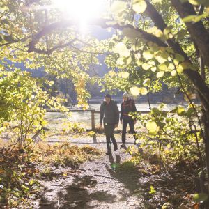 Bereit für den Wanderurlaub? Jede Jahreszeit hat Ihren ganz eigenen Zauber, wie hier der Herbstwald in Hinterstoder