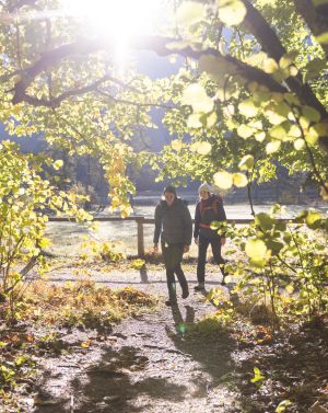 Bereit für den Wanderurlaub? Jede Jahreszeit hat Ihren ganz eigenen Zauber, wie hier der Herbstwald in Hinterstoder