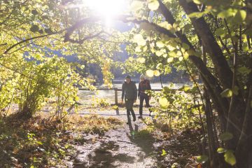 Bereit für den Wanderurlaub? Jede Jahreszeit hat Ihren ganz eigenen Zauber, wie hier der Herbstwald in Hinterstoder