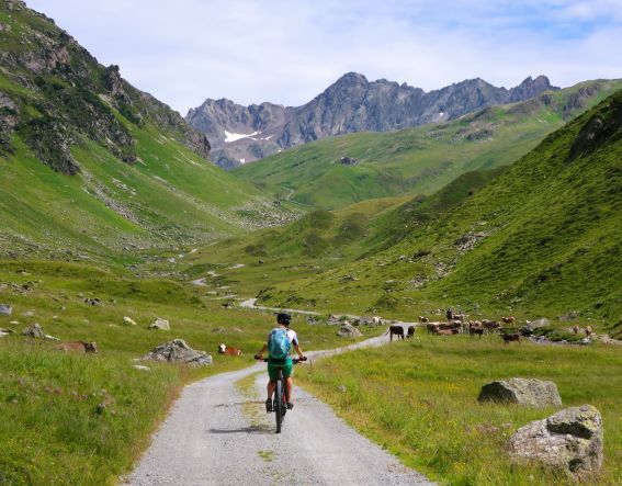 MTB-Tour zur Heilbronner Hütte