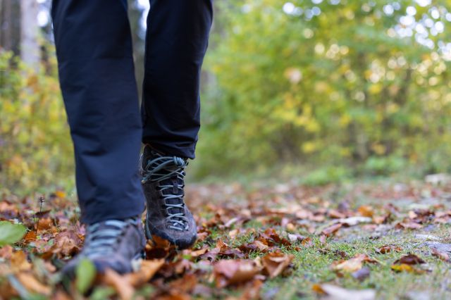 Im Herbst läuft doch jeder gern durch das raschelnde Laub, oder? Am besten hört sich das Geräusch auf einer Wanderung in den Bergen an.