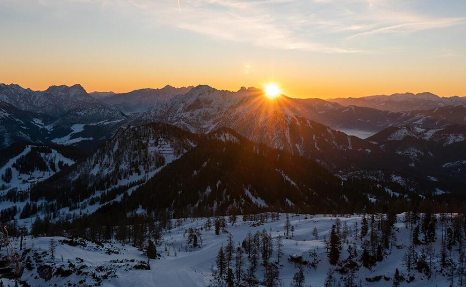 1st-Line-31.jpg | © Apolline Design Studio/Sophia Humer