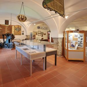 Besuche das Wilderer Museum in Molln