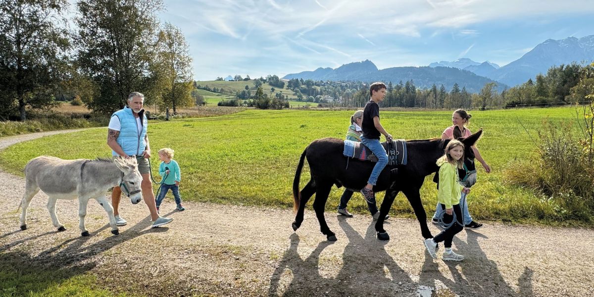 Eselwandern in Pfronten