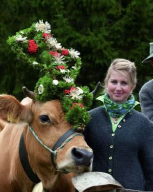Névtelen