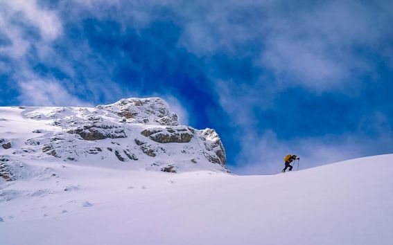 Michi-Zahler-Campbewerbung-Zitat