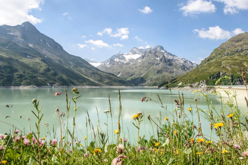 Der Silvrettasee mit Blumen im Vordergrund in Montafon.