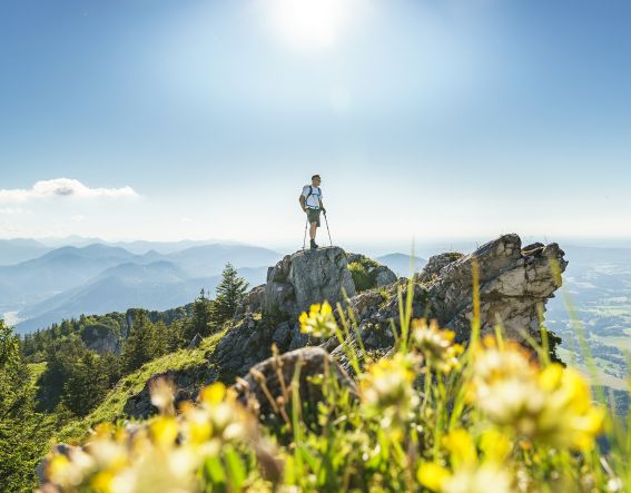 Bei strahlenedem Sonnenschauen auf den Breitenstein wandern Wandern bei strahlendem Sonnenschein: Der Breitenstein bietet einen großzügigen Blick über die Alpen.