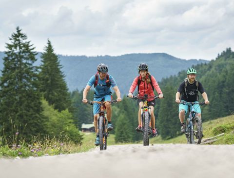 Un gruppo di appassionati di mountain bike sta effettuando un tour a Spitzingsee.