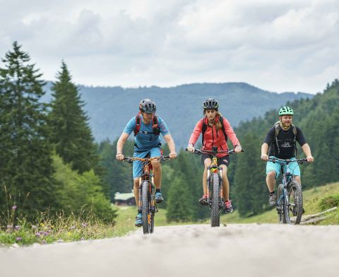 Mountainbiker unternehmen eine Tour zum Spitzingsee.