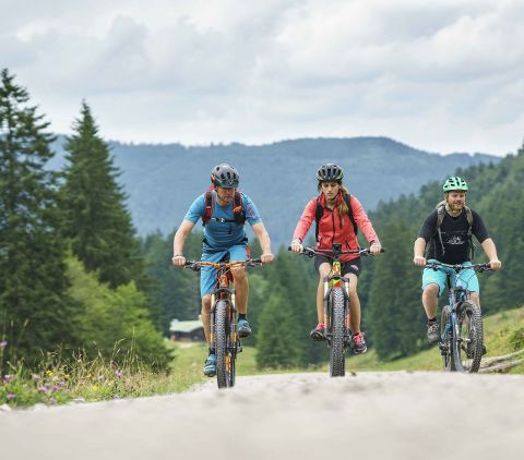 Mountainbikers maken een tocht naar de Spitzingsee.