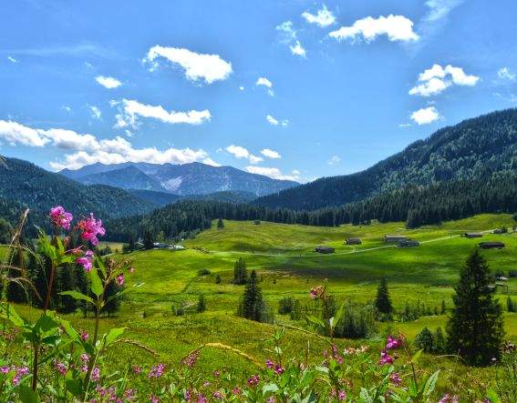 Spitzingsee Albert Link Hütte