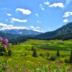Do schroniska Albert Link Hut można łatwo dotrzeć, nawet z wózkiem dziecięcym.