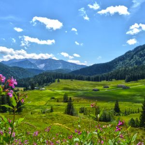 Der Blick von der Albert Link Hütte in Richtung Spitzingsee Die Albert Link Hütte kannst Du einfach erreichen - auch mit Kinderwagen.
