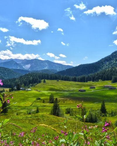 Die Albert Link Hütte kannst Du einfach erreichen - auch mit Kinderwagen.