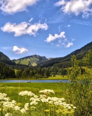In primavera e in estate, a Spitzingsee fioriscono molti alberi e fiori.