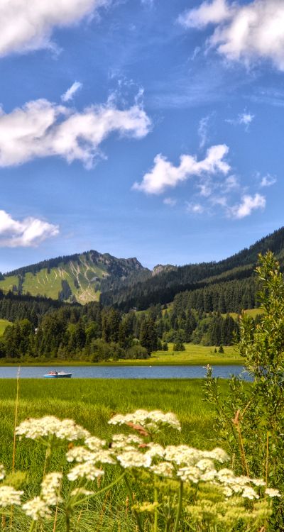 Im Frühling und Sommer blühen am Spitzingsee viele Bäume und Blumen.