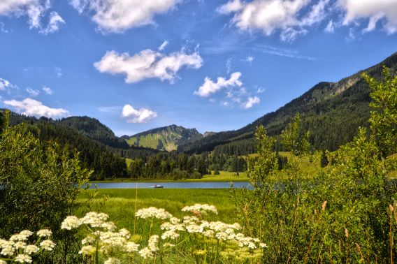 Na jaře a v létě kvete u Spitzingsee mnoho stromů a květin.