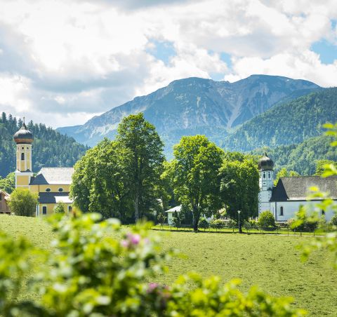 Il comune di Fischbachau si trova nel distretto di Miesbach.
