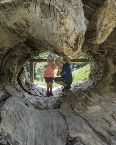 Two children are sitting in a hollowed-out tree trunk in Bayrischzell.