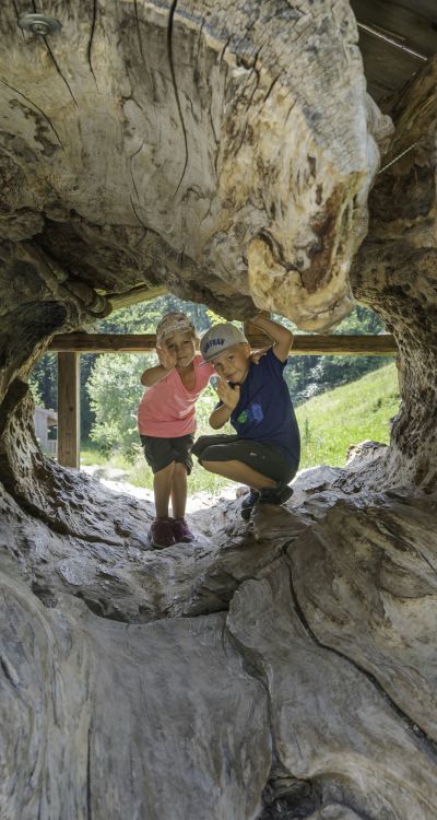 Zwei Kinder sitzen in Bayrischzell in einem ausgehölten Baumstamm.
