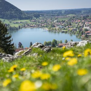 Frühling am Schlierseee